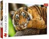 Пазли Trefl - Портрет тигра 500 елементів (37397)