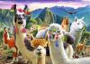 Пазли Trefl - Лами у горах 500 елементів (37383)