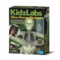 Набір для експериментів 4М Світний скелет людини (00-03375)