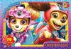 Пазлы "Щенячий патруль: Скай", 70 элементов G-Toys