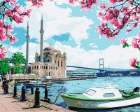 Картина за номерами - Яскравий Стамбул KHO2757