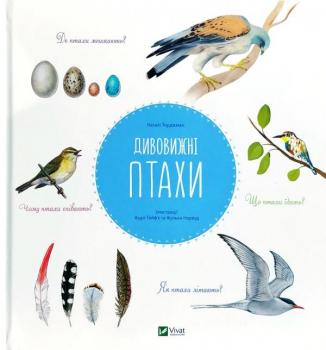 Дивовижні птахи Наталі Торджман