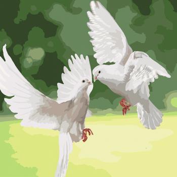 Картина по номерам - Білосніжні голуби (КНО4149) 40*40