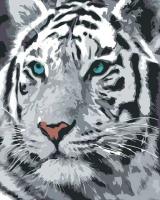 0001Т1 Картина "Сніжний тигр" 40*50 см																		