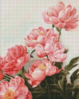 Алмазна мозаїка - Букет рожевих півоній   AMO7274