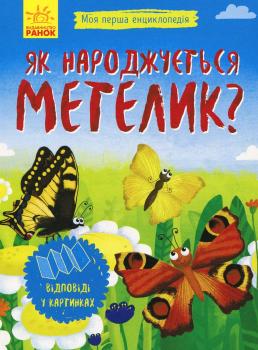 Як народжується метелик?