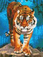 Набір алмазна вишивка Rainbow Art Тигр (EJ1255) 30 х 40 см (На підрамнику)