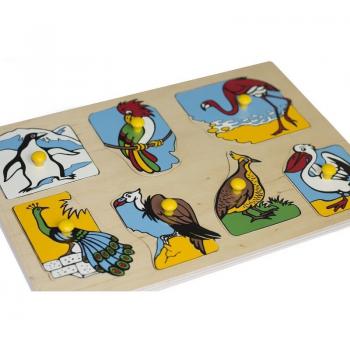 Рамка-вкладка Екзотичні птахи Lam Toys 7 деталей