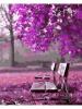 Картина по номерах  Квітучий парк 40х50 (ВК1043)