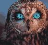 Картина по номерам - Таємнича совушка (КНО4056) 40*40