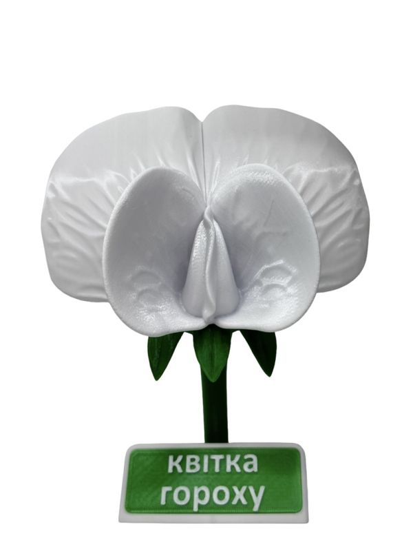 Модель "Квітка гороху"