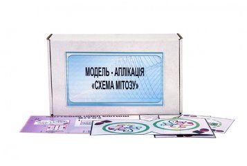 Модель-аплікація "Схема мітозу" Арт: 68866