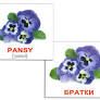 Набір міні-карток Домана укр.-англ. Квіти/Flowers 20 шт Вундеркінд