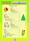 Вправи на шкільні канікули 1 клас (Осінні, ЗИМОВІ, весняні)