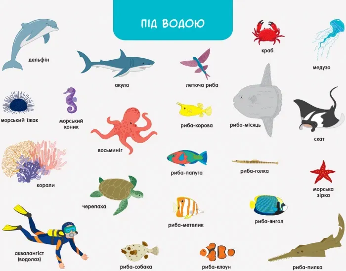 Ура, ми заговорили! Хто і де?(200)