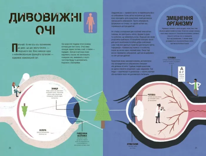 Неймовірна пригода бути людиною. Твоє надзвичайне тіло та як у ньому жити Пембертон Макс