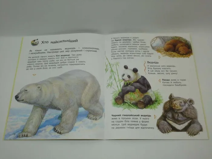 Енциклопедія дошкільника. Коти. Юлія Каспарова