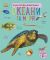 Книга Енциклопедія дошкільника. Океани та моря Юлія Каспарова