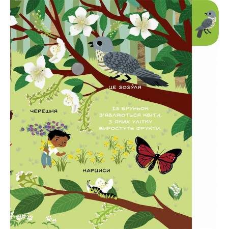 Моя перша звуконаука. Ліс