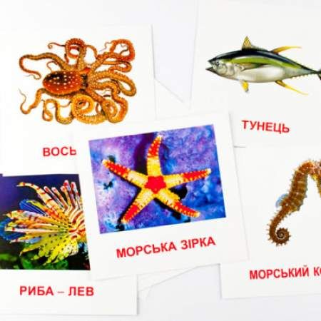 Картки міні Морські жителі (110х110 мм) Зірка 72752