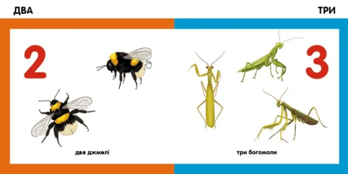 Смарт-книги. Цифри (Укр) Ранок
